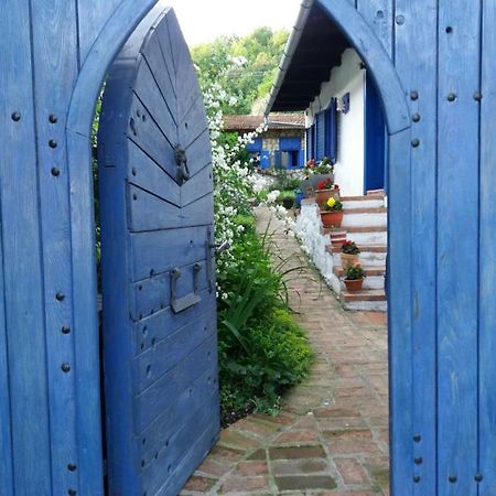 Вілла Casa Anca Cheile Nerei Socolari Екстер'єр фото