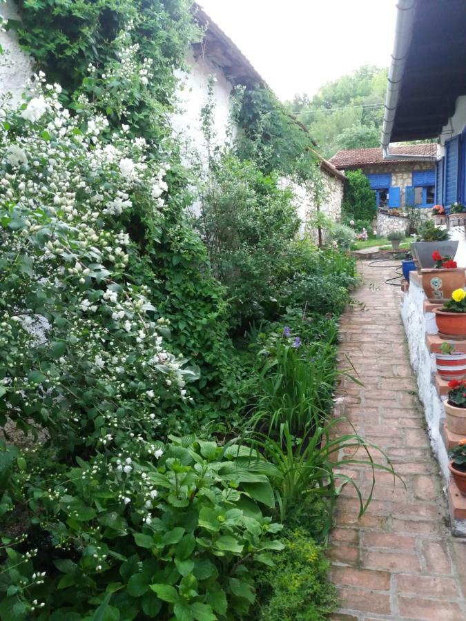 Вілла Casa Anca Cheile Nerei Socolari Екстер'єр фото