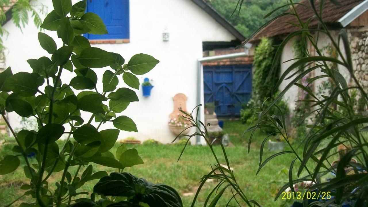 Вілла Casa Anca Cheile Nerei Socolari Екстер'єр фото